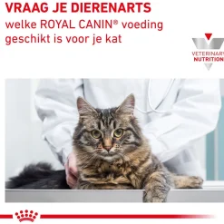 Royal Canin Veterinary Diet Gastro Intestinal Kitten - Kattenvoer