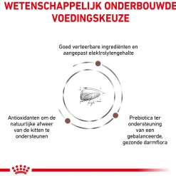 Royal Canin Veterinary Diet Gastro Intestinal Kitten - Kattenvoer