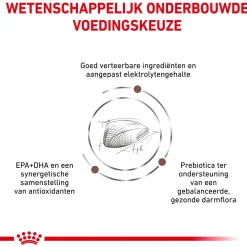 Royal Canin Veterinary Diet Gastro Intestinal - Kattenvoer
