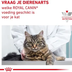 Royal Canin Veterinary Diet Gastro Intestinal - Kattenvoer