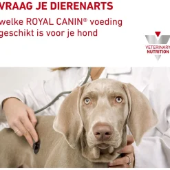 Royal Canin Veterinary Diet Urinary S/O Small Dogs - Hondenvoer - 4 kg