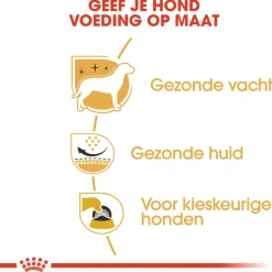 Royal Canin West Highland White Terrier Adult - Hondenvoer