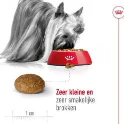 Royal Canin X-Small Adult 8+ - Hondenvoer