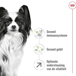 Royal Canin X-Small Adult 8+ - Hondenvoer
