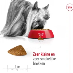 Royal Canin X-Small Ageing 12+ - Hondenvoer