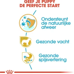 Royal Canin Yorkshire Terrier - Puppy-Hondenvoer - 1.5 kg