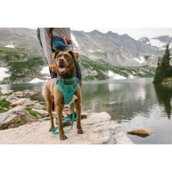 Ruffwear Front Range Collar Aurora Teal - Hondenhalsband