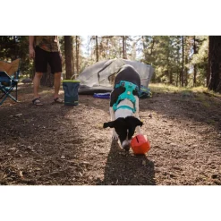 Ruffwear Front Range Collar Aurora Teal - Hondenhalsband