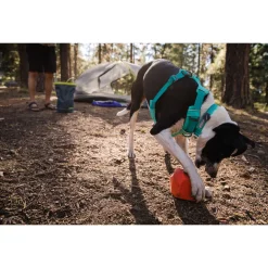 Ruffwear Front Range Collar Aurora Teal - Hondenhalsband