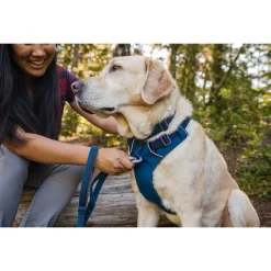 Ruffwear Front Range Collar Blue Moon - Hondenhalsband