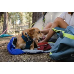 Ruffwear Front Range Collar Blue Moon - Hondenhalsband