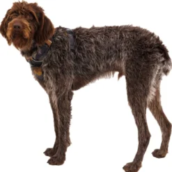 Ruffwear Front Range Harnass Bruin&Camouflage - Hondentuig