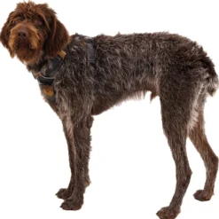 Ruffwear Front Range Harnass Bruin&Camouflage - Hondentuig