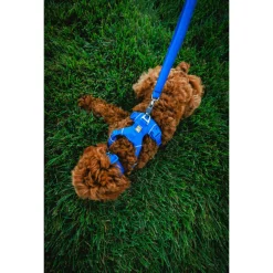 Ruffwear Front Range Harnass Blauw - Hondentuig