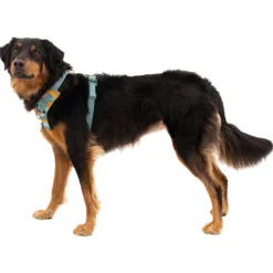 Ruffwear Front Range Harnass Agavegroen - Hondentuig