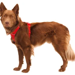 Ruffwear Front Range Harnass Rood - Hondentuig