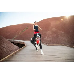 Ruffwear Front Range Harness Rood - Hondenharnas