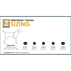 Ruffwear Web Master Harness Blauw - Hondenharnas