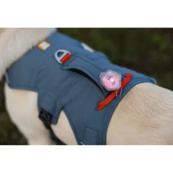 Ruffwear Web Master Harness Blauw - Hondenharnas