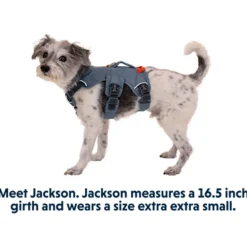 Ruffwear Web Master Harness Blauw - Hondenharnas