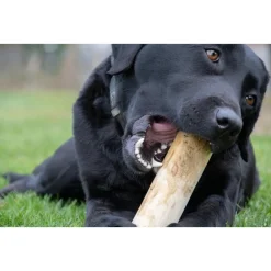 Ruffwood Coffee Kauwstaaf - Hondensnacks