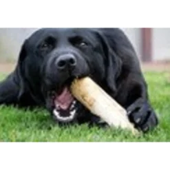 Ruffwood Coffee Kauwstaaf - Hondensnacks