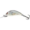Salmo Hornet Flo - Plug - 3.5 cm Real Dace