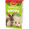 Sanal Drops Sugar Free - Knaagdiersnack - Peterselie 45 g