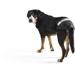 Savic Comfort Nappy Hondenluier - Hondenzindelijkstraining