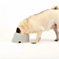 Scruffs Classic Flat Faced Voerbak - Hondenvoerbak - Ø18 cm Grijs