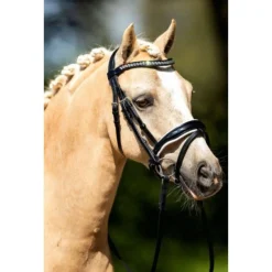 Showtime Hoofdstel Saffier Zwart - Rijbenodigdheden