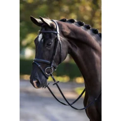 Showtime Hoofdstel Standaard Zwart - Rijbenodigdheden