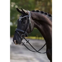 Showtime Hoofdstel Stars Zwart - Rijbenodigdheden