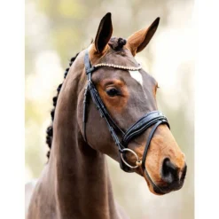 Showtime Luxe Hoofdstel Zwart - Rijbenodigdheden