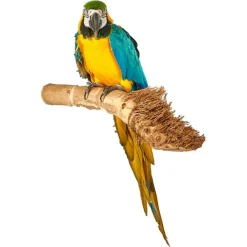 Sky Pet Products Zitstok Bamboo Perch - Vogelverblijven-Toebehoren - per stuk S