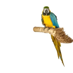 Sky Pet Products Zitstok Bamboo Perch - Vogelverblijven-Toebehoren - per stuk Medium
