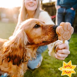 Smoofl Honden Ijs 160 g - Hondensnacks