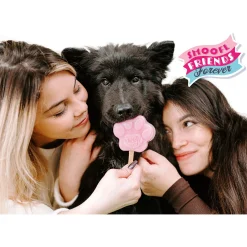 Smoofl Honden Ijs 160 g - Hondensnacks