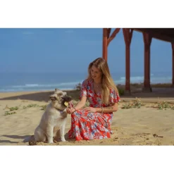 Smoofl Honden Ijs - Hondensnacks - Aardbei 105 g