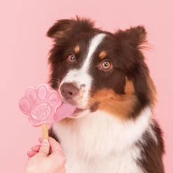 Smoofl Honden Ijs Startersset - Hondensnacks - Aardbei Pindakaas M