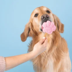 Smoofl Honden Ijsvorm - Hondensnacks - Paars L