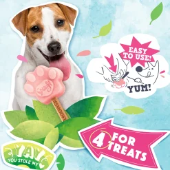 Smoofl Honden Ijsvorm - Hondensnacks - Pink M