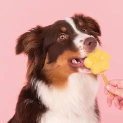 Smoofl Honden Ijsvorm - Hondensnacks - Pink M