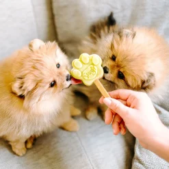 Smoofl Puppy Ijs 160 g - Hondensnacks