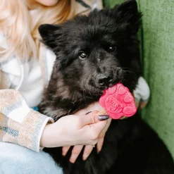 Smoofl Puppy Ijs 160 g - Hondensnacks