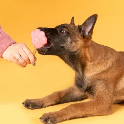 Smoofl Starter Kit Puppy Ijs - Hondensnacks - Aardbei Banaan