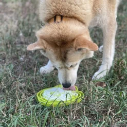 Sodapup Bull Frog Etray - Hondenvoerbak - Ø20 cm Groen