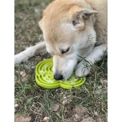 Sodapup Bull Frog Etray - Hondenvoerbak - Ø20 cm Groen