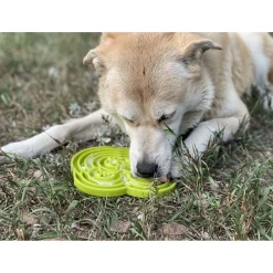Sodapup Bull Frog Etray - Hondenvoerbak - Ø20 cm Groen