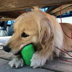 Sodapup Can Toy - Hondenspeelgoed - Limoengroen Voor Honden Van 0-15 Kg M